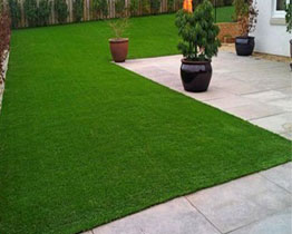 Artifical Grass Carpet Supplier Mumbai